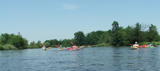 Spływy kajakowe po Pilicy Warka